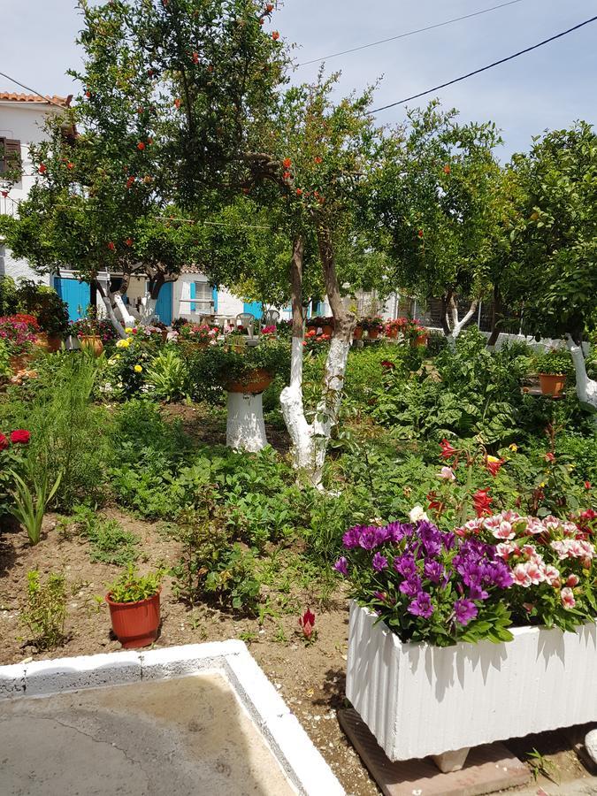 Aparthotel Asimina'S House Skiathos-Stadt Exterior foto
