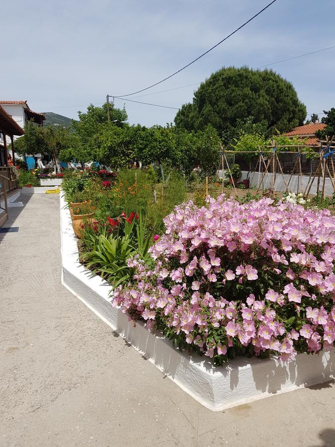 Aparthotel Asimina'S House Skiathos-Stadt Exterior foto